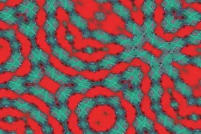 Untitled Video still