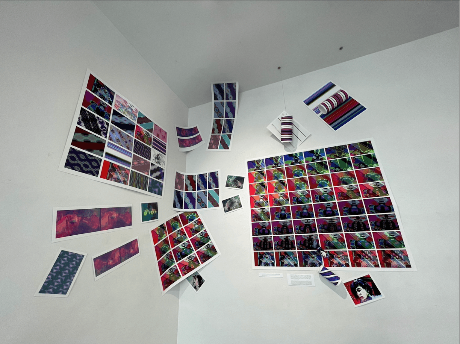 This art installation is composed of video still images printed on Hahnemühle photo rag paper. The footage of the performance art for video in which I performed, entitled 'There is a little bit of absurdity in everything (Oakland, California, August 15th, 2005),' was manipulated through a visual programming language called MAX Jitter to create special effects.